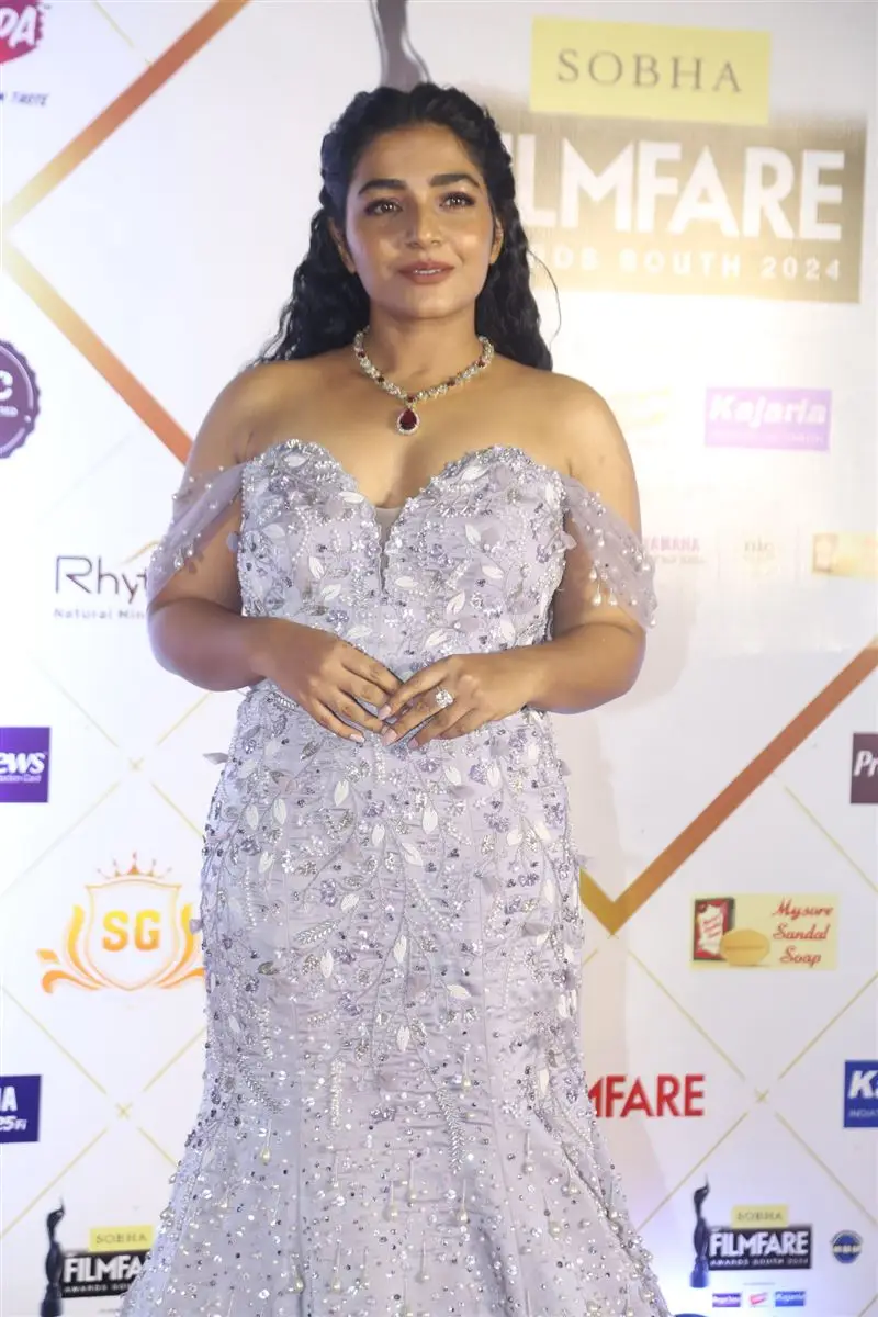 Tollywood Celebraties at Filmfare Awards South 2024 Red Carpet